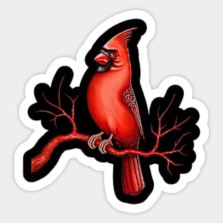 Red Cardinal bird cute cardinal Sticker